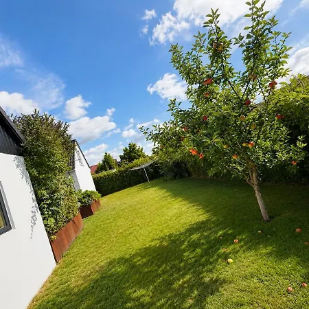 - Family House With Large Courtyard & Garden Casa vacanze